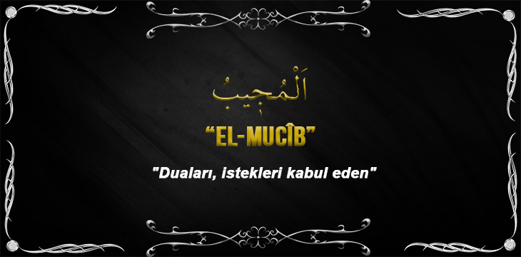 Allah(cc)’nun El Mucib Sıfatı