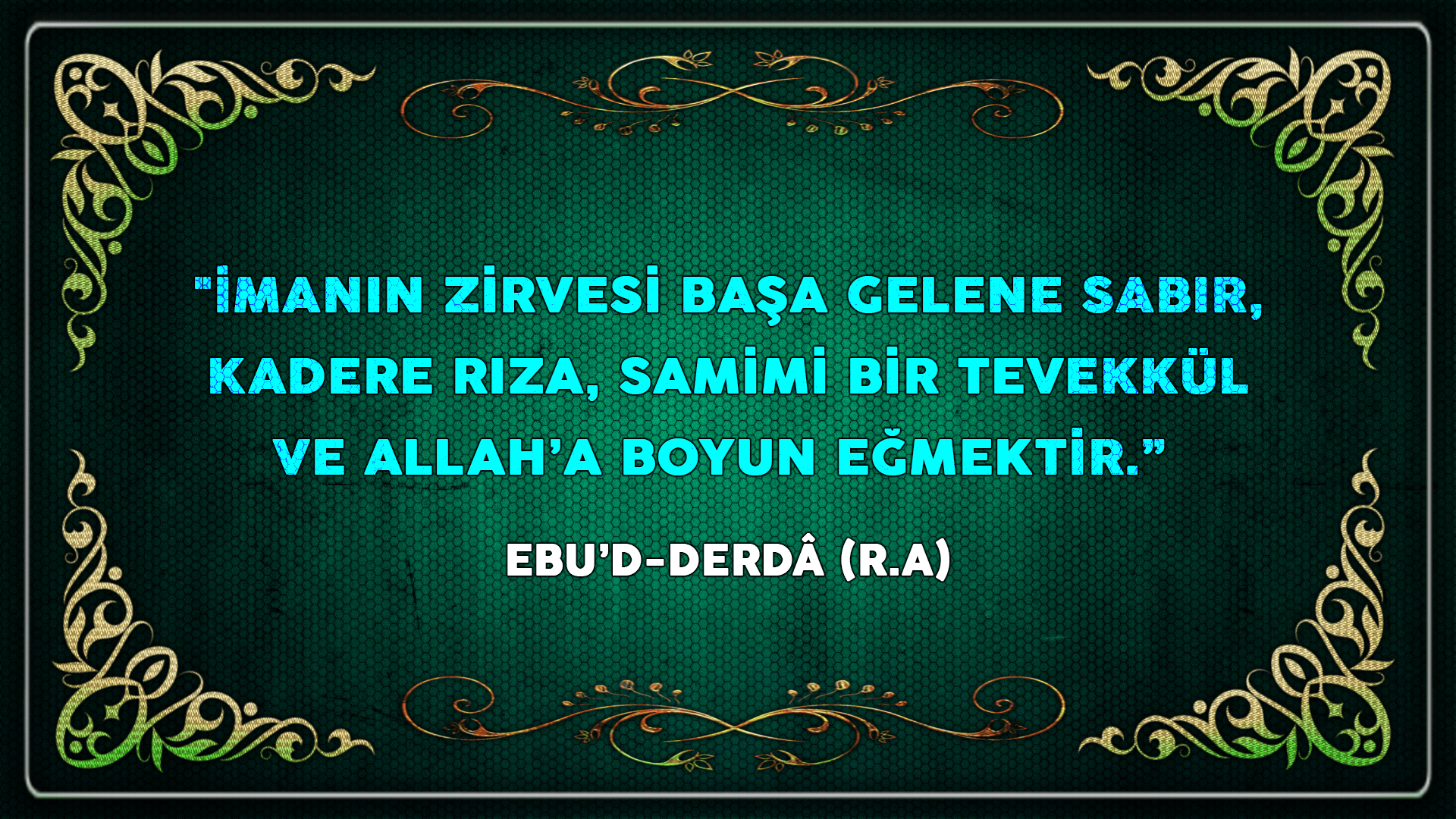 ÖZLÜ SÖZLER (50)