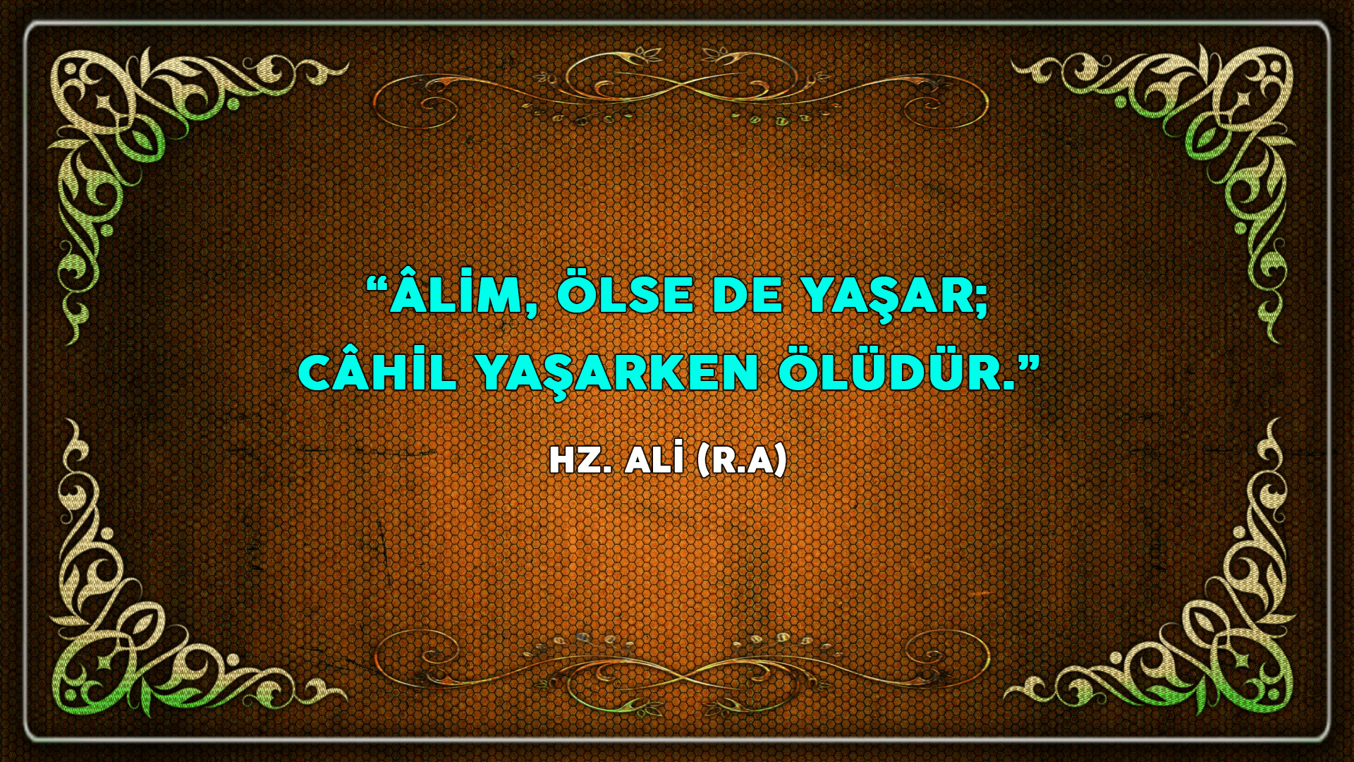 ÖZLÜ SÖZLER (79)