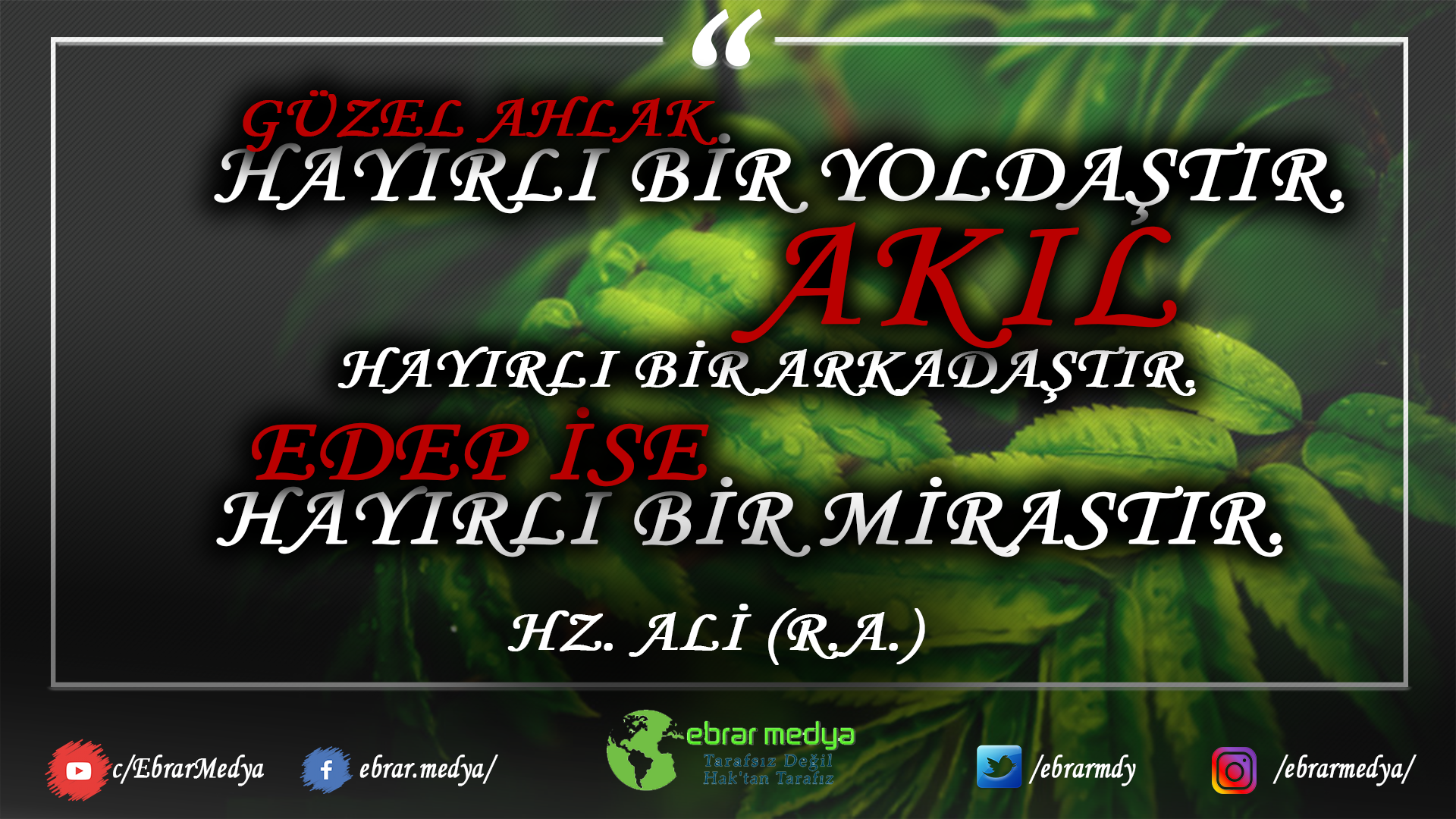 ÖZLÜ SÖZLER (246)