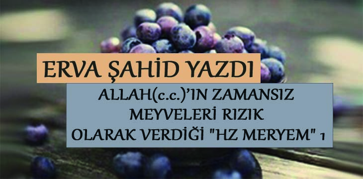 Bakire Meryem Hikayesi Bilimsel Felsefe