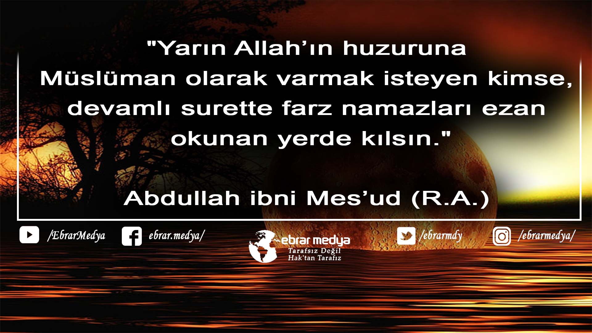 ÖZLÜ SÖZLER (422)