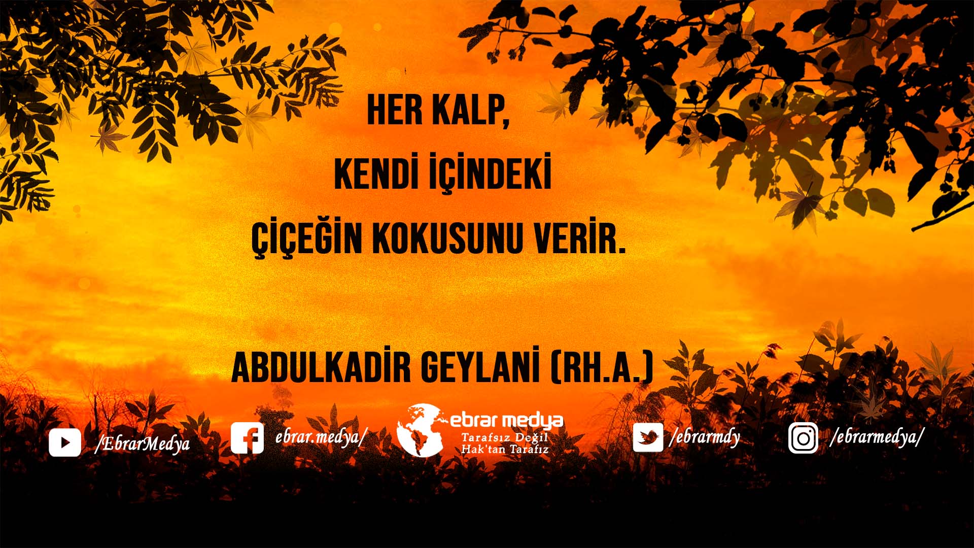 ÖZLÜ SÖZLER (454)