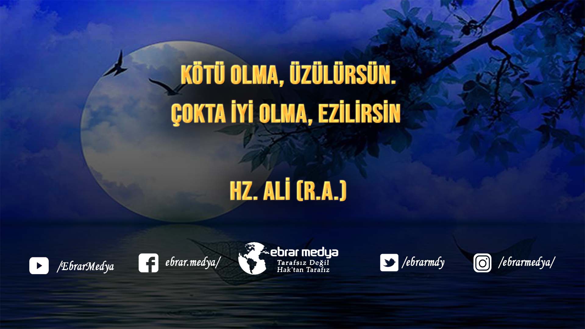 ÖZLÜ SÖZLER (455)