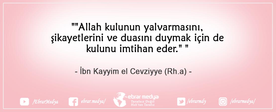 ÖZLÜ SÖZLER (557)