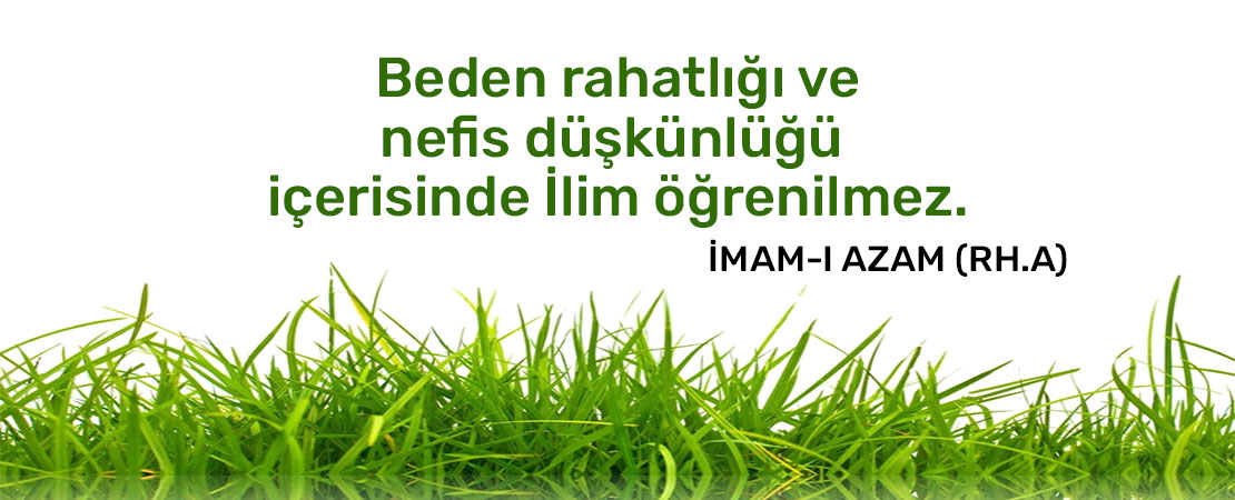 ÖZLÜ SÖZLER (558)