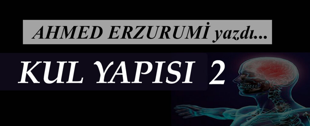 KUL YAPISI -2-