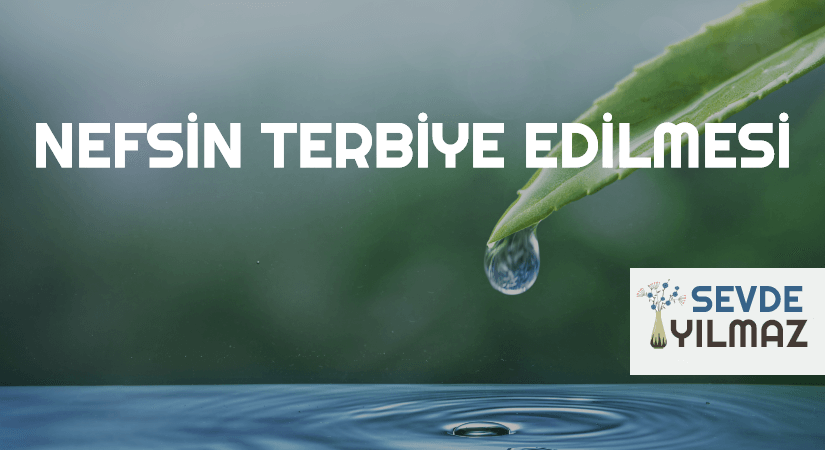 NEFSİN TERBİYE EDİLMESİ