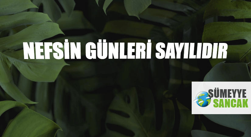 NEFSİN GÜNLERİ SAYILIDIR
