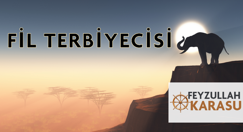 FİL TERBİYECİSİ