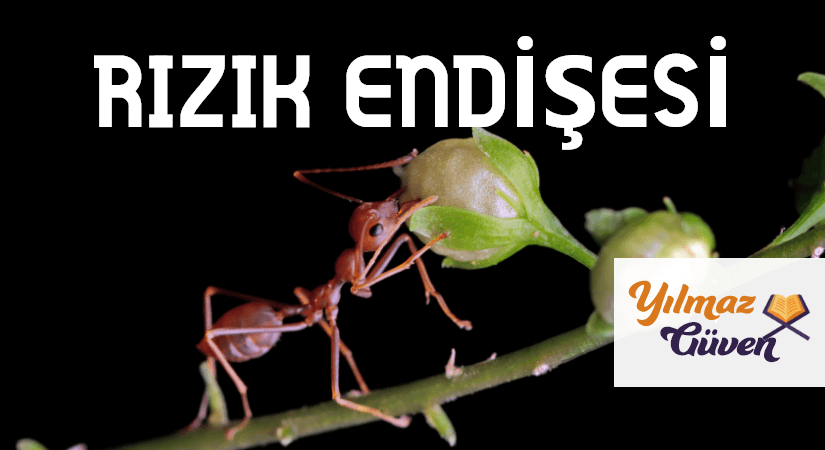 RIZIK ENDİŞESİ